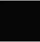 11 - REF. 043 RAL ± 9011 NEGRO GRAFITO MATE