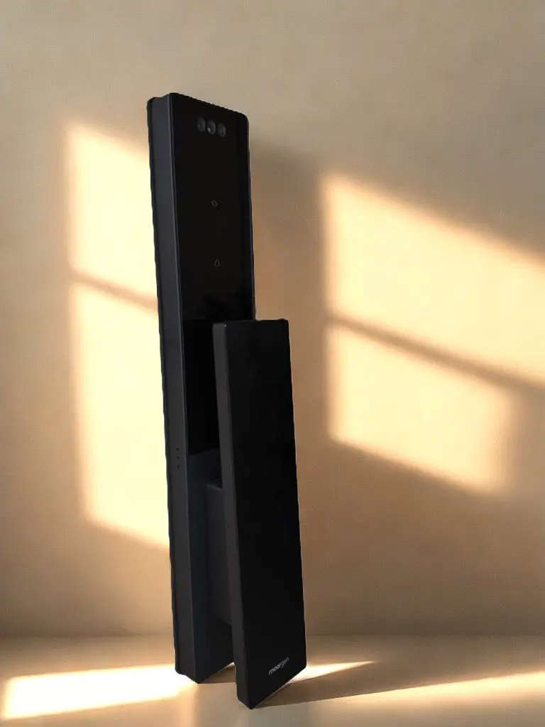 Panys biomètrics: seguretat avançada a la porta d'entrada