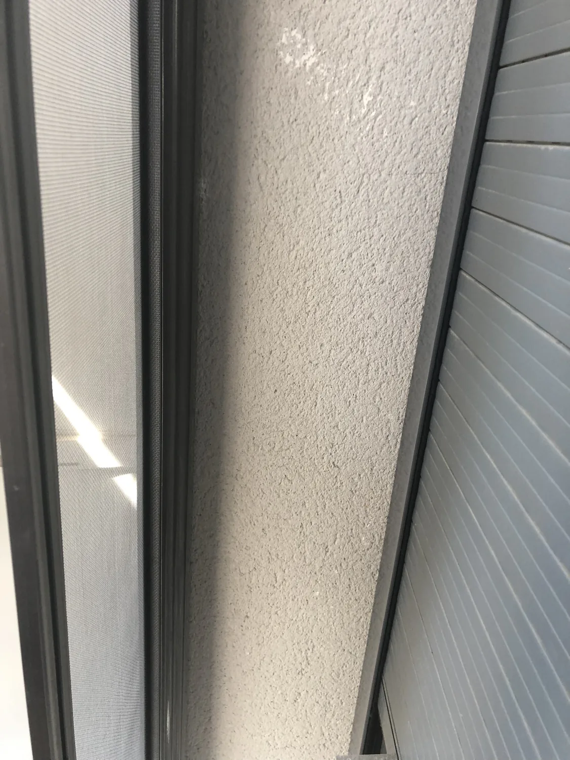 Mosquitera corredera en Bescanó (6)